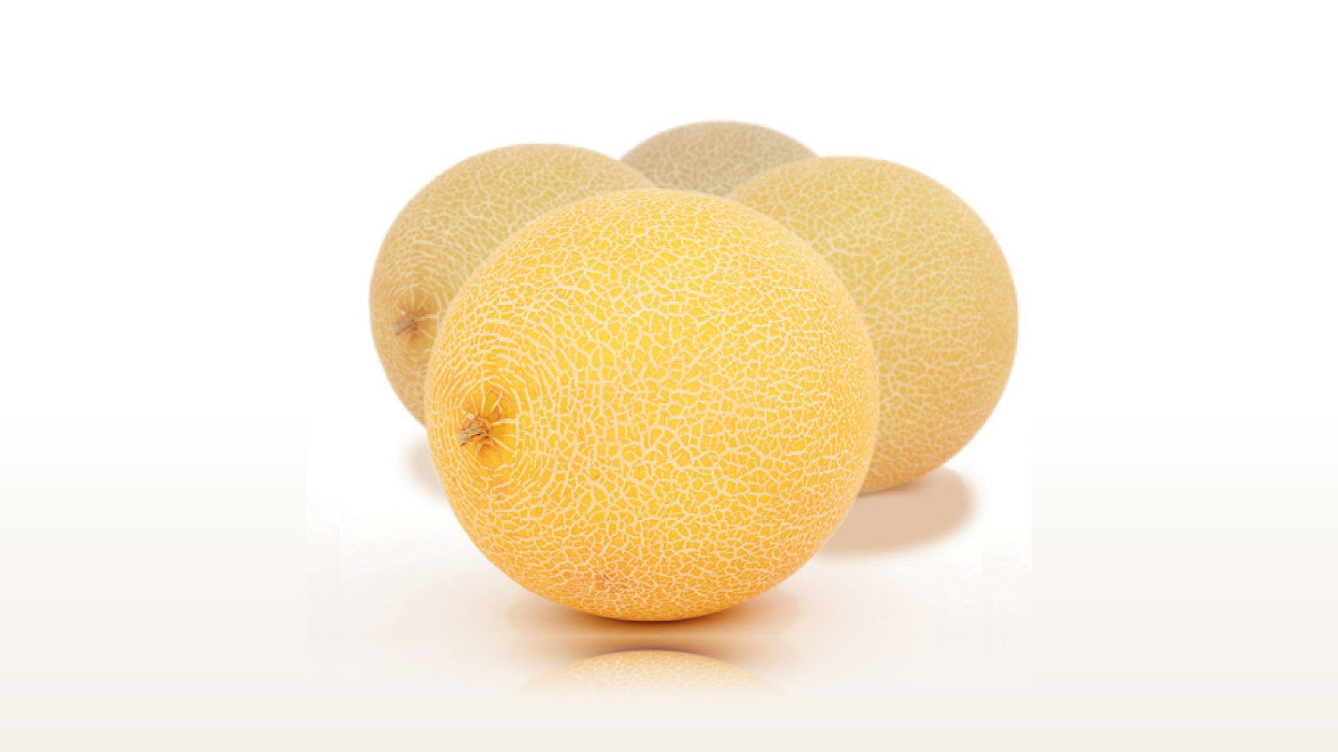 kenburns6